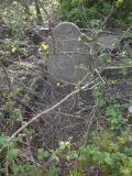 image of grave number 435311